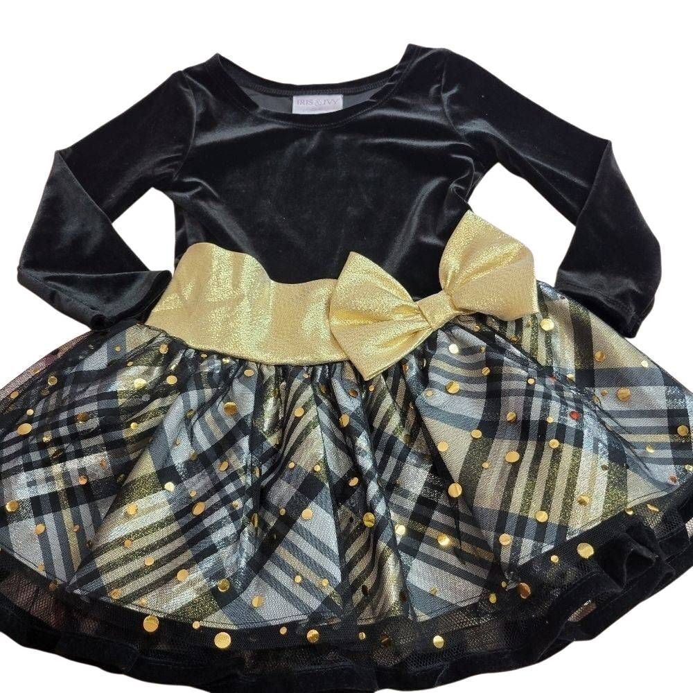 Iris & Ivy special occasion dress 2T